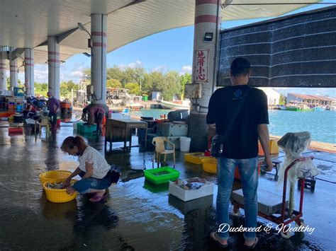 將軍港|【台南旅遊景點】「將軍漁港」逛魚貨拍賣場∣大啖海。